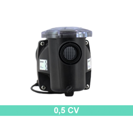 Pompe piscine Freeflo 0,5CV