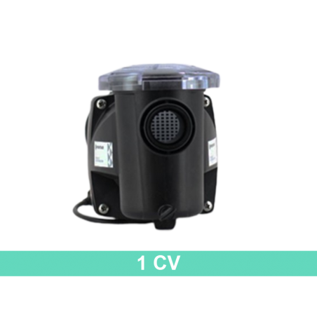 Pompe piscine Freeflo 1CV