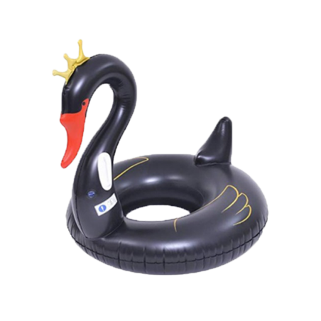 Thermomètre flottant avec bouée noire DELPHIN