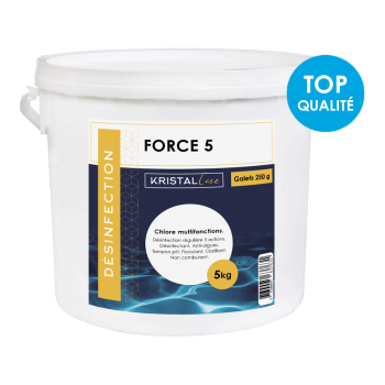 Galet multi fonctions chlore floculant algicide piscine 5 kg