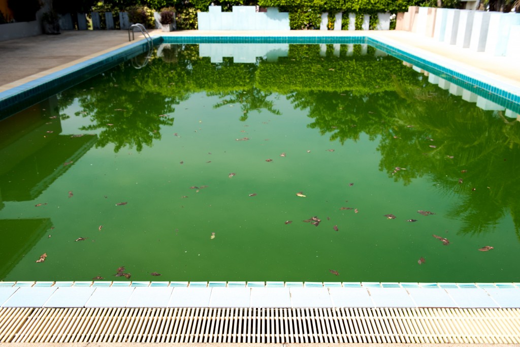 Floculant pour piscine : quand et comment l'utiliser ?