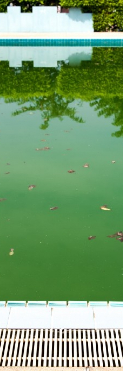 Floculant pour piscine : quand et comment l'utiliser ?